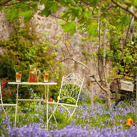St Katharine'S House Bed and Breakfast Milford Haven Buitenkant foto
