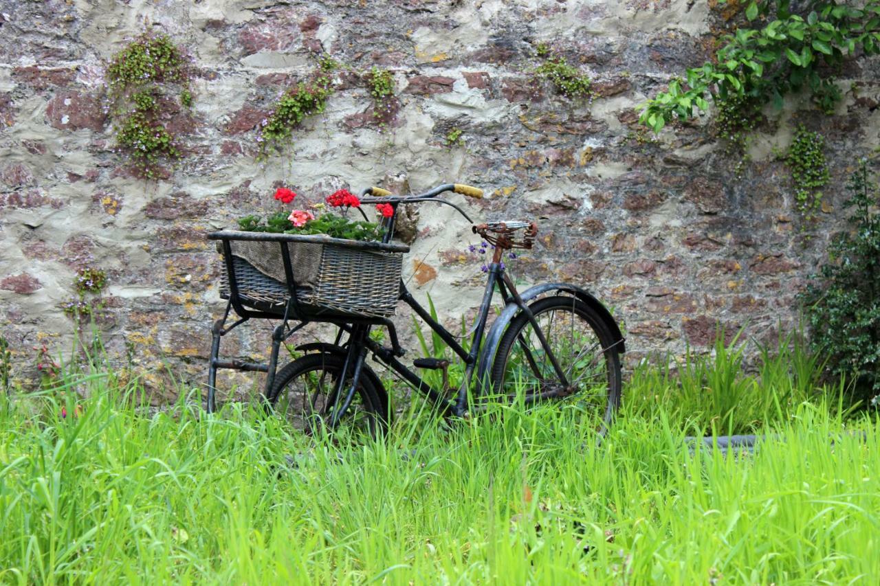 St Katharine'S House Bed and Breakfast Milford Haven Buitenkant foto